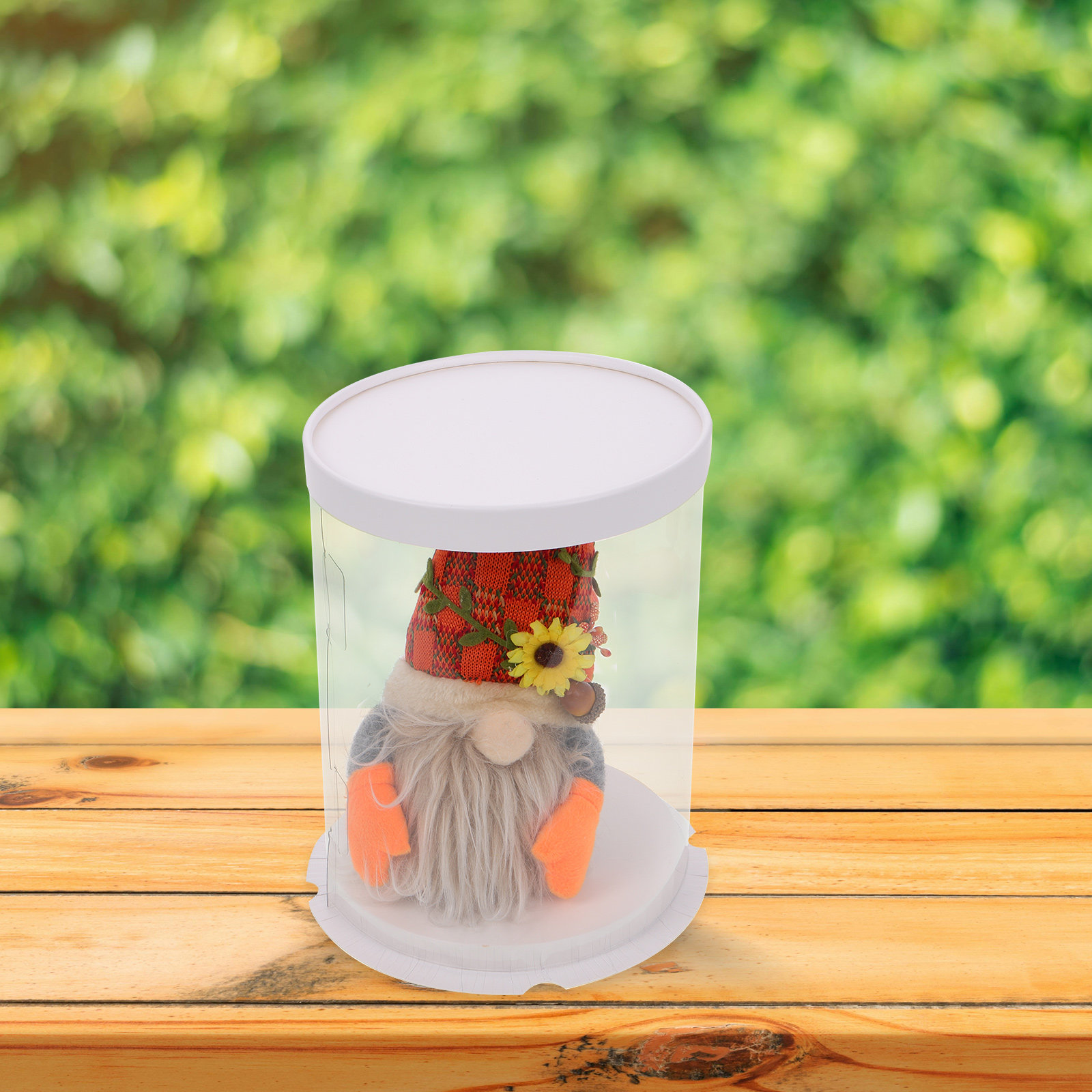 Display Box Case Clear Figures - Display Case Acrylic 评论和价格